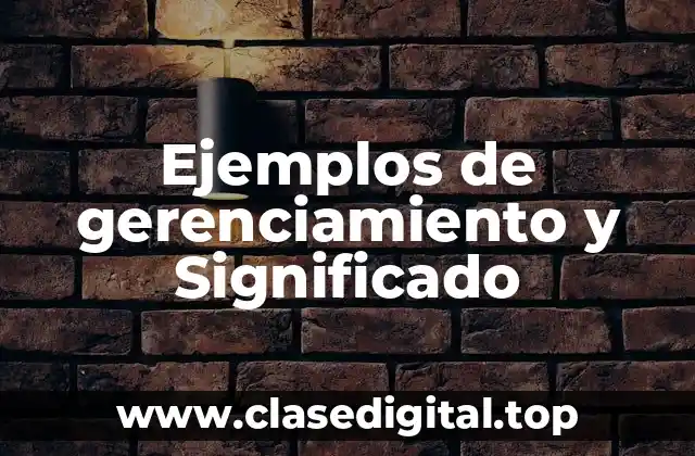 Ejemplos de gerenciamiento y Significado