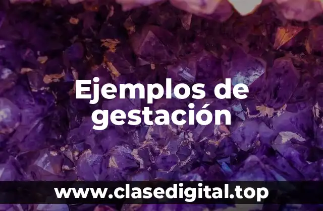 Ejemplos de gestación