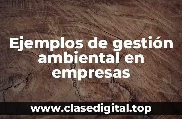 Ejemplos de gestión ambiental en empresas