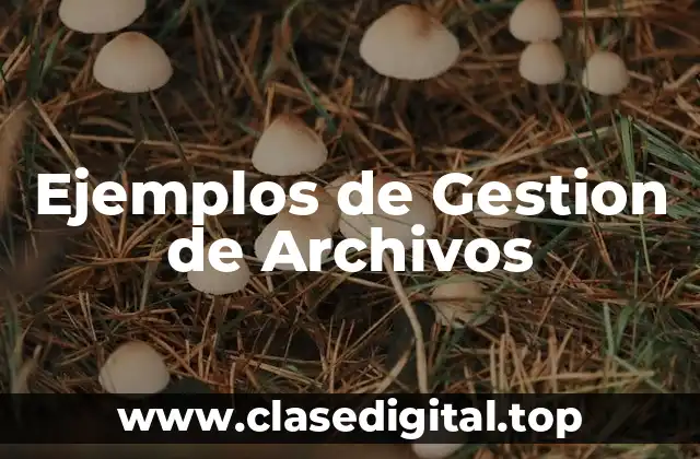 Ejemplos de Gestion de Archivos