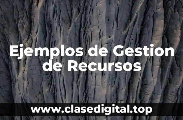 Ejemplos de Gestion de Recursos