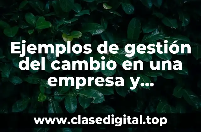 Ejemplos de gestión del cambio en una empresa y Significado