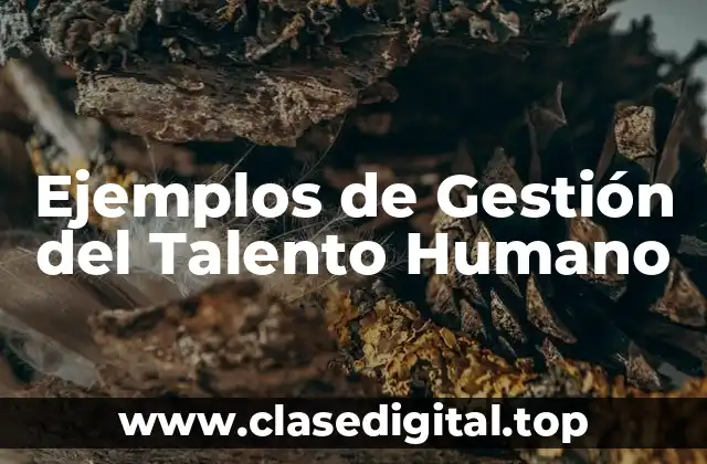Ejemplos de Gestión del Talento Humano