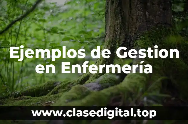 Ejemplos de Gestion en Enfermería