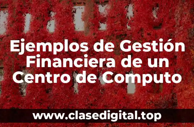 Ejemplos de Gestión Financiera de un Centro de Computo