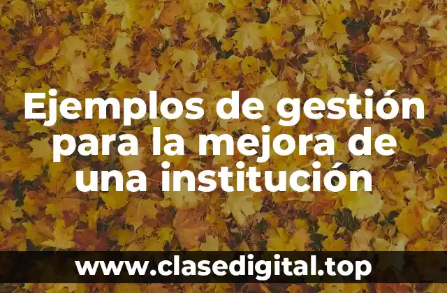 Ejemplos de gestión para la mejora de una institución