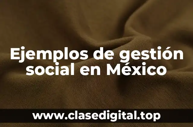 Ejemplos de gestión social en México