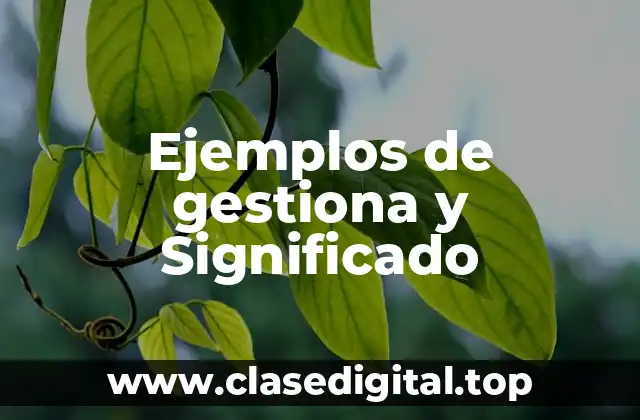 Ejemplos de gestiona y Significado
