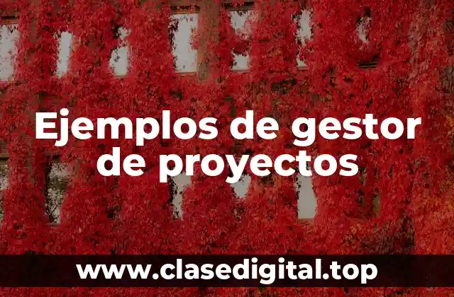 Ejemplos de gestor de proyectos