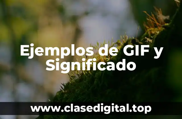 Ejemplos de GIF y Significado