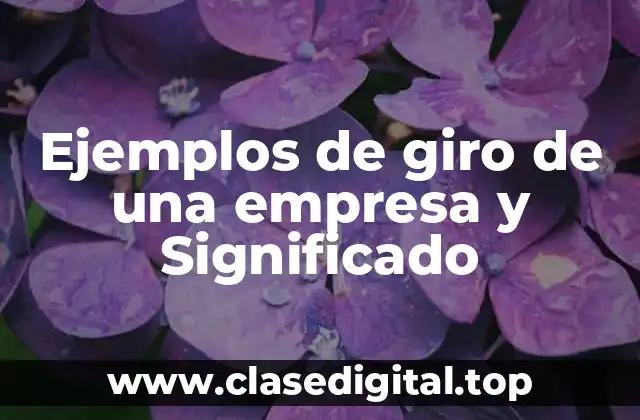 Ejemplos de giro de una empresa y Significado