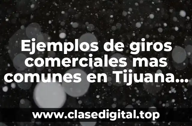 Ejemplos de giros comerciales mas comunes en Tijuana y Significado