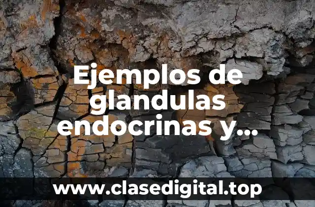 Ejemplos de glandulas endocrinas y exocrinas
