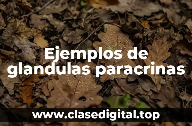 Ejemplos de glandulas paracrinas
