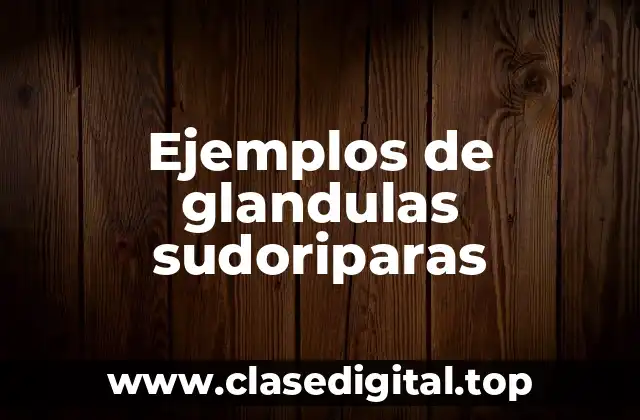 Ejemplos de glandulas sudoriparas