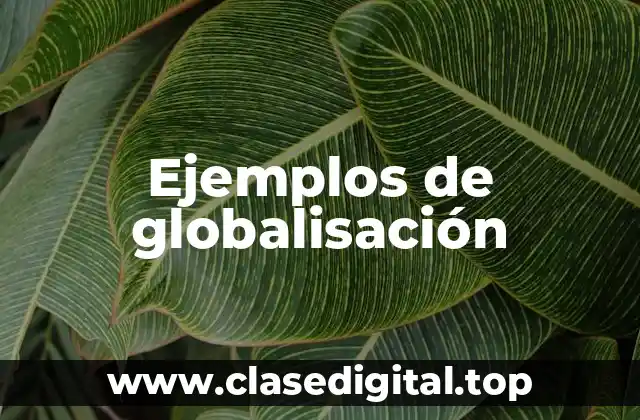Ejemplos de globalisación