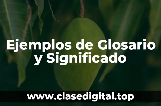 Ejemplos de glosario