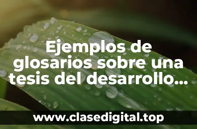 Ejemplos de glosarios sobre una tesis del desarrollo de creatividad