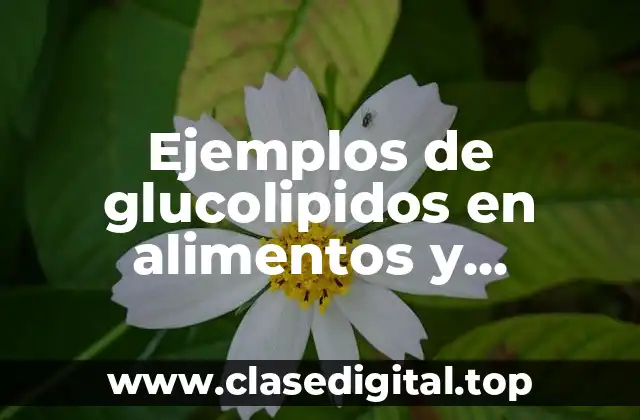 Ejemplos de glucolipidos en alimentos y Significado