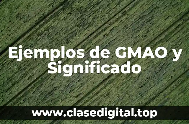 Ejemplos de GMAO y Significado