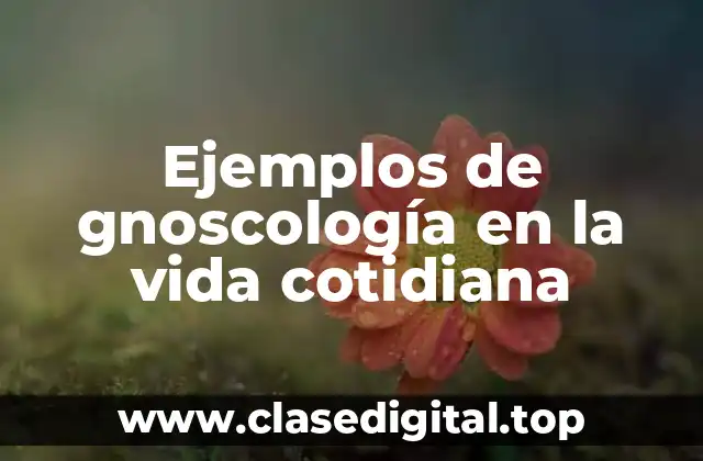 Ejemplos de gnoscología en la vida cotidiana