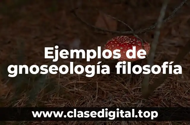 Ejemplos de gnoseología filosofía