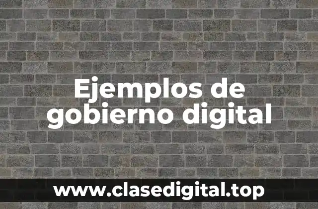 Ejemplos de gobierno digital