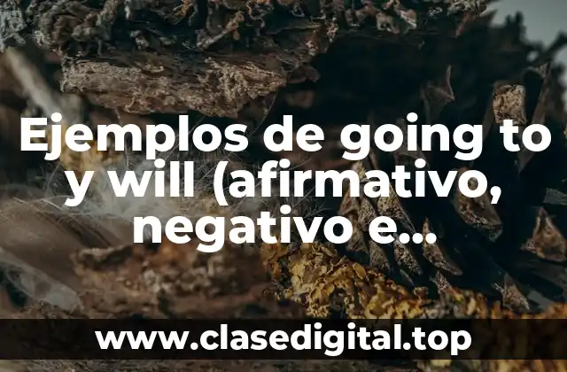 Ejemplos de going to y will (afirmativo, negativo e interrogativo)
