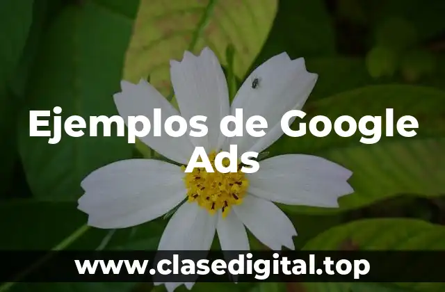 Ejemplos de Google Ads