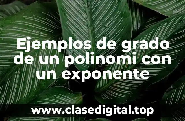 Ejemplos de grado de un polinomi con un exponente