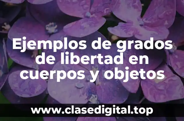 Ejemplos de grados de libertad en cuerpos y objetos