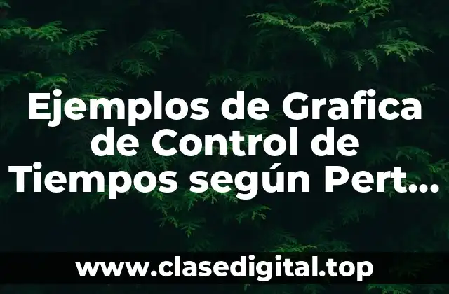 Ejemplos de Grafica de Control de Tiempos según Pert