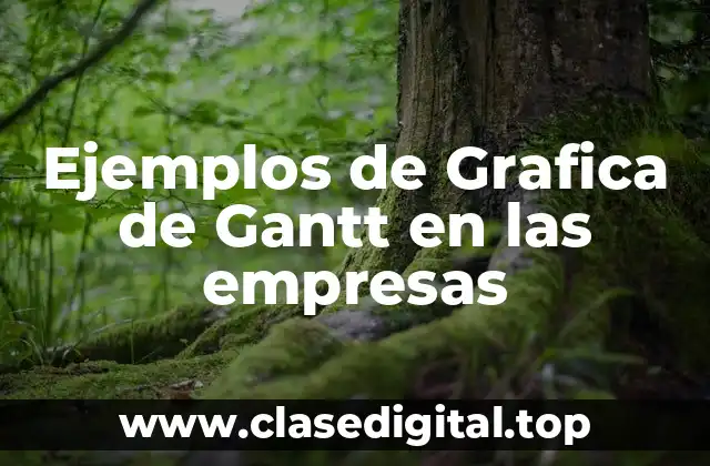 Ejemplos de Grafica de Gantt en las empresas