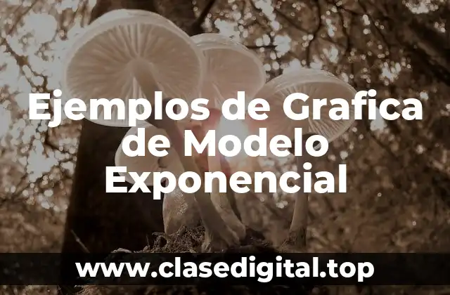 Ejemplos de Grafica de Modelo Exponencial