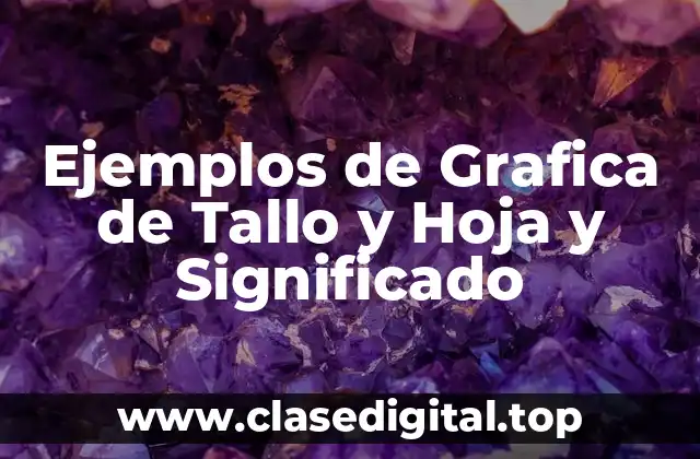 Ejemplos de Grafica de Tallo y Hoja y Significado