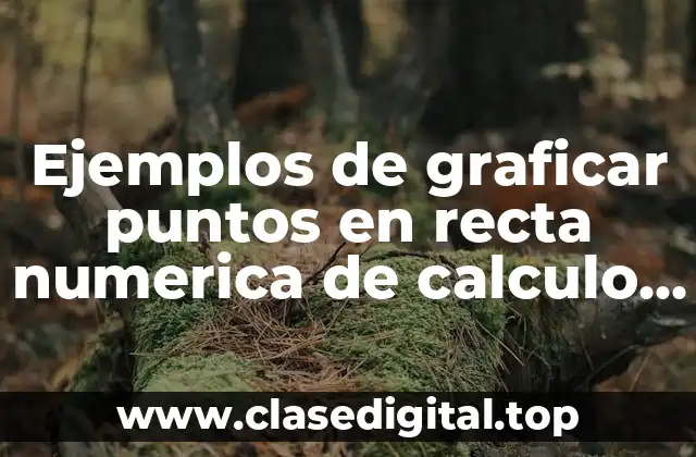 Ejemplos de graficar puntos en recta numerica de calculo diferencial