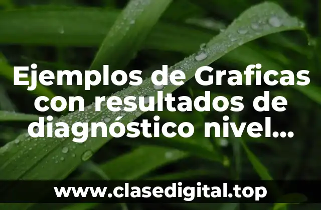 Ejemplos de Graficas con resultados de diagnóstico nivel primaria y Significado