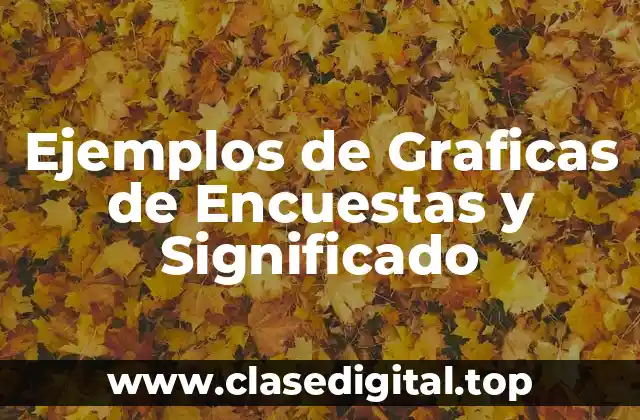 Ejemplos de Graficas de Encuestas y Significado