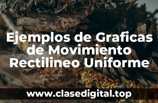 Ejemplos de Graficas de Movimiento Rectilineo Uniforme