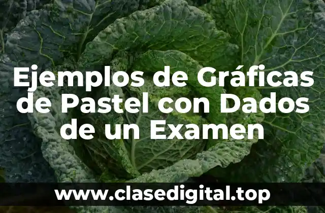 Ejemplos de Gráficas de Pastel con Dados de un Examen