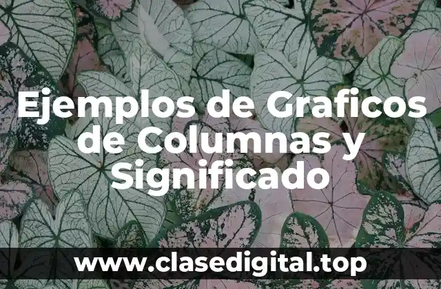 Ejemplos de Graficos de Columnas y Significado