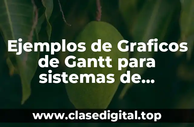Ejemplos de Graficos de Gantt para sistemas de información