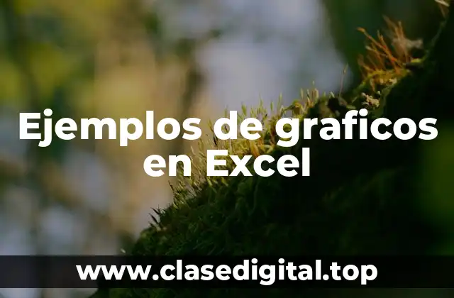 Ejemplos de graficos en Excel