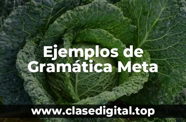 Ejemplos de Gramática Meta-Lingüística