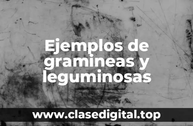 Ejemplos de gramineas