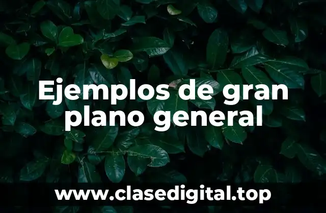 Ejemplos de gran plano general