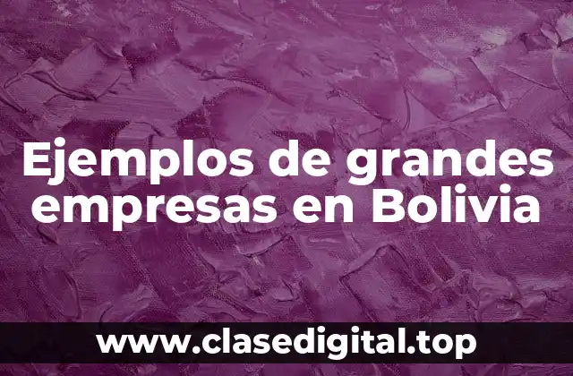 Ejemplos de grandes empresas en Bolivia