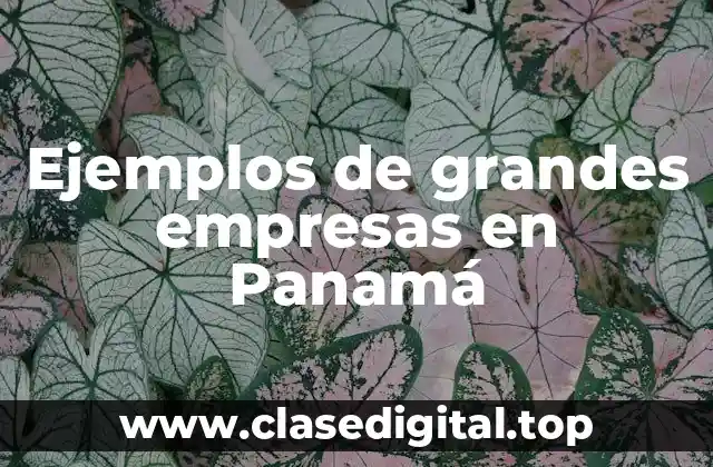Ejemplos de grandes empresas en Panamá