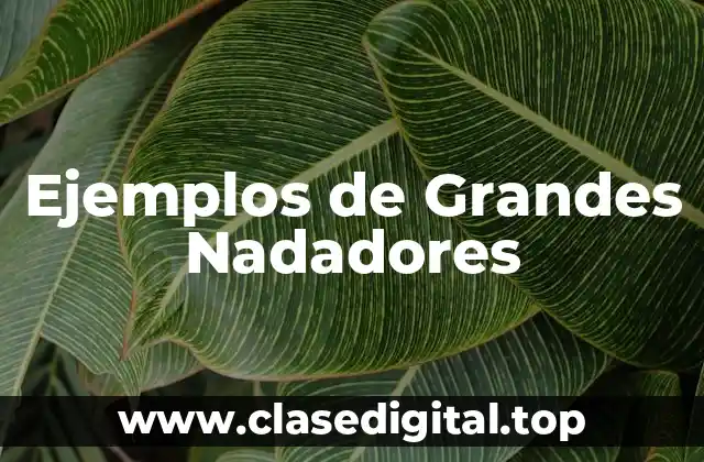 Ejemplos de grandes nadadores