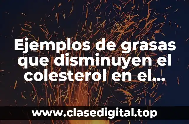 Ejemplos de grasas que disminuyen el colesterol en el cuerpo